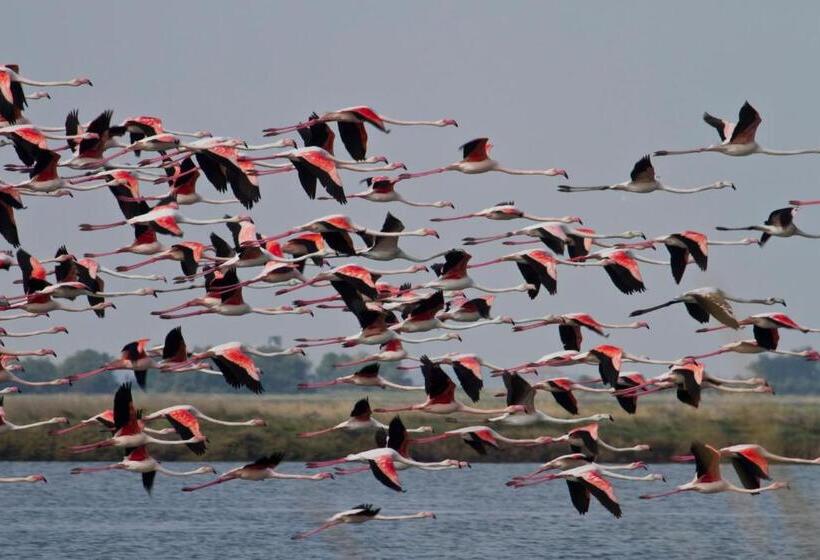 침실 2개 스위트, Residence San Paolo