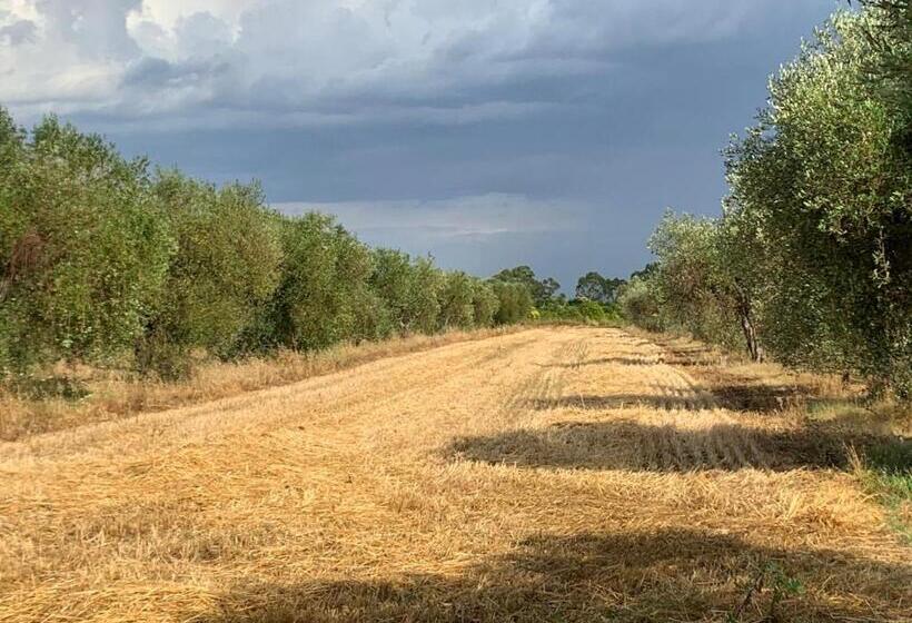 شقة غرفة واحدة, Agriturismo Beveraggio