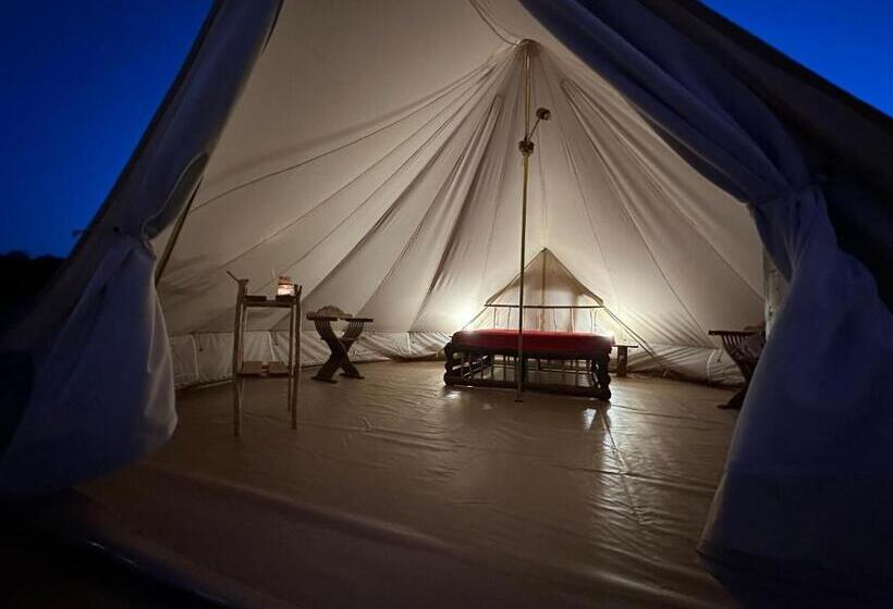 Standard Tent, Il Favogoloso