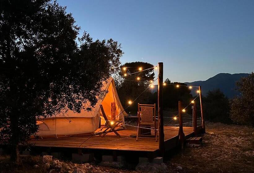 Standard Tent, Il Favogoloso
