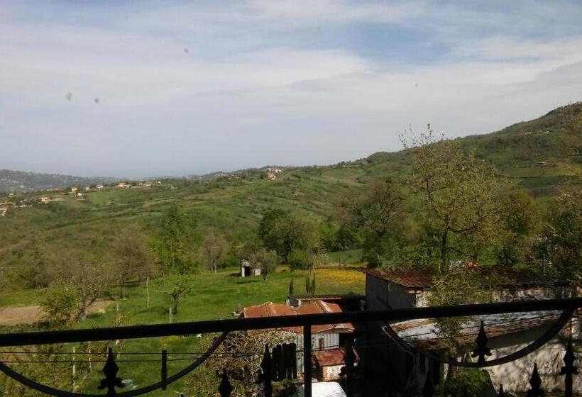 Студио Стандарт с Видом, Parco Sogni D'oro