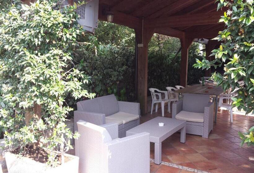 Студия Стандарт, Parco Sogni D'oro