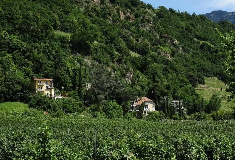 استودیوی استاندارد, Villa Sasso