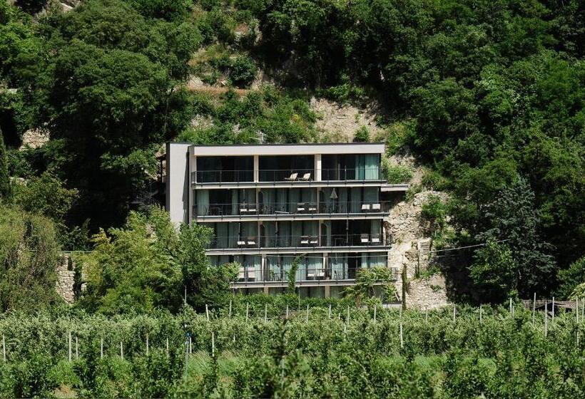 Студия Стандарт, Villa Sasso