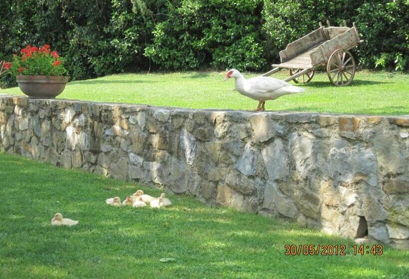 Апартаменты 1 Спальня, Agriturismo Conca Verde