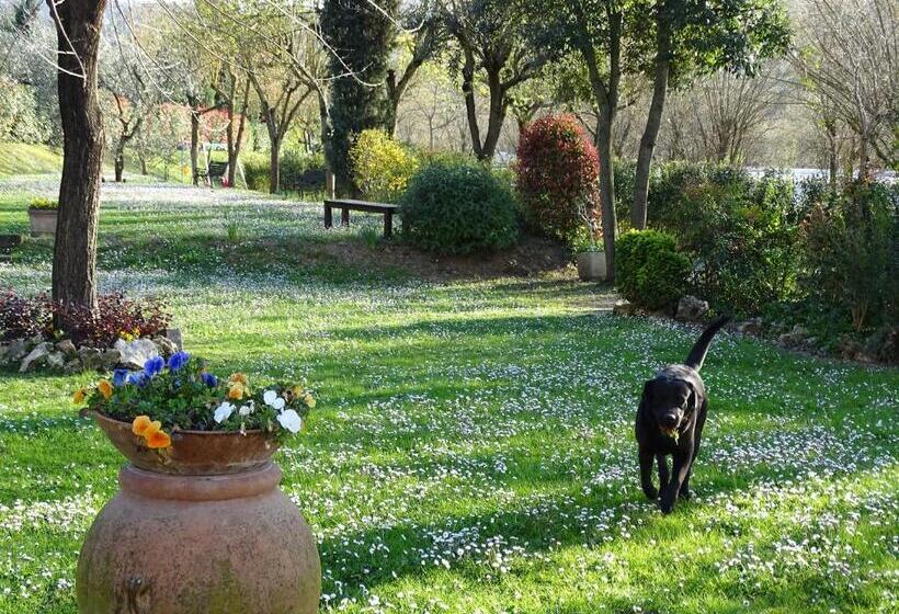 Апартаменты 1 Спальня, Agriturismo Conca Verde