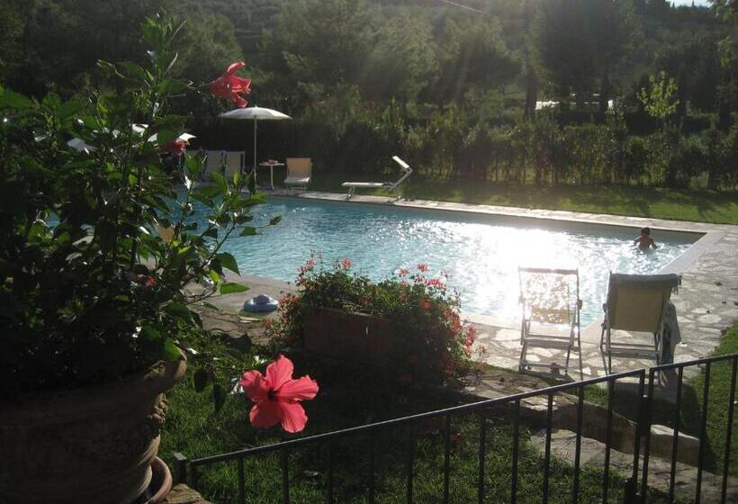 Апартаменты 1 Спальня Нижний Этаж, Agriturismo Conca Verde