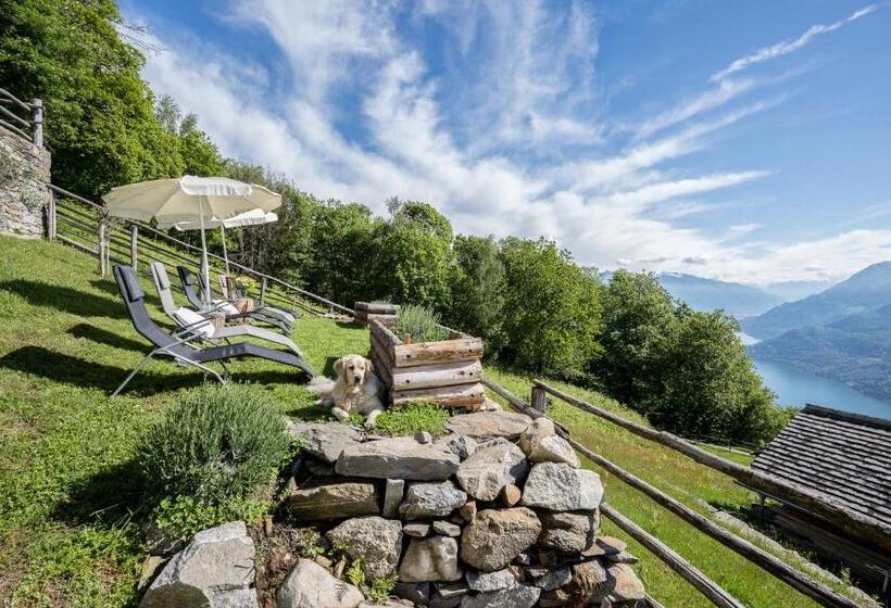 스탠다드 룸, Agriturismo Da Attilio