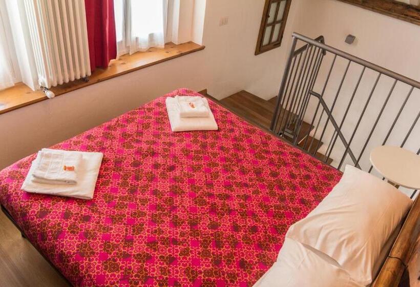 스탠다드 스튜디오, La Sciora Oliva