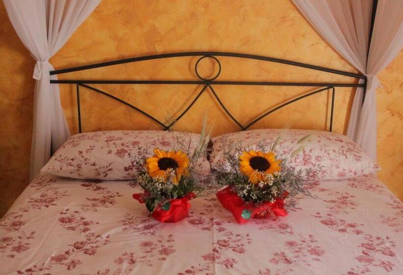 スタンダードルーム, Il Gallo