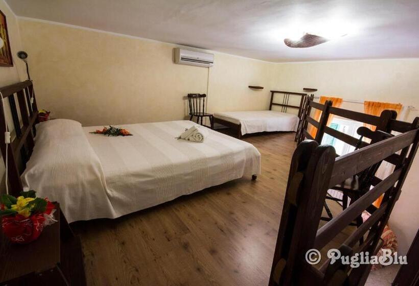 スタンダードルーム, Il Gallo