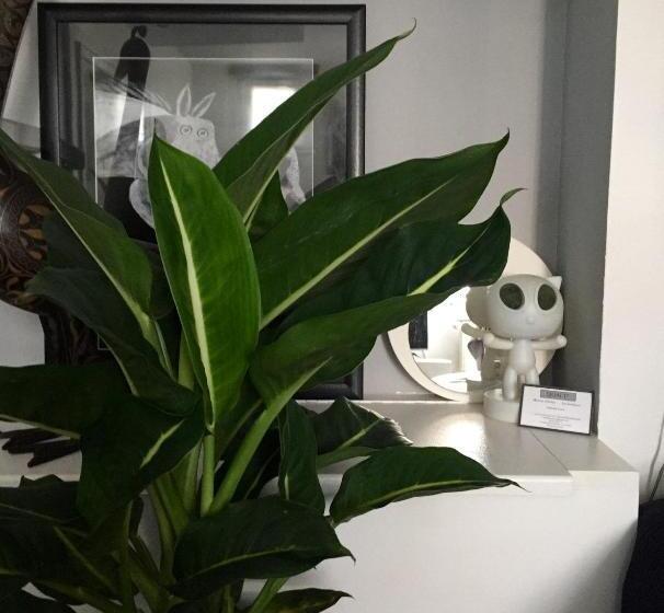 2 Bedroom Suite, Quai 17 Maison D Hôtes
