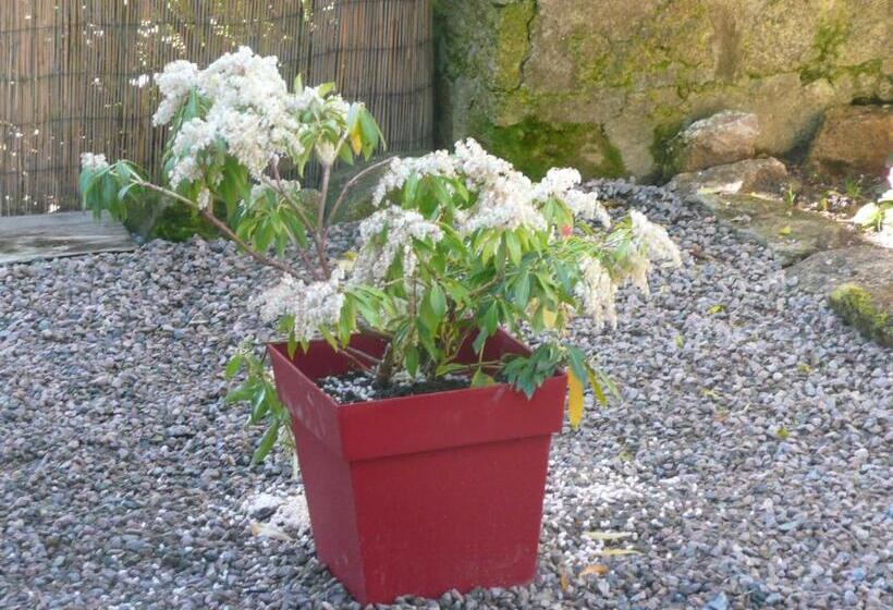 テラス付きスタンダードルーム, Chambres D Hôtes D Antardieu