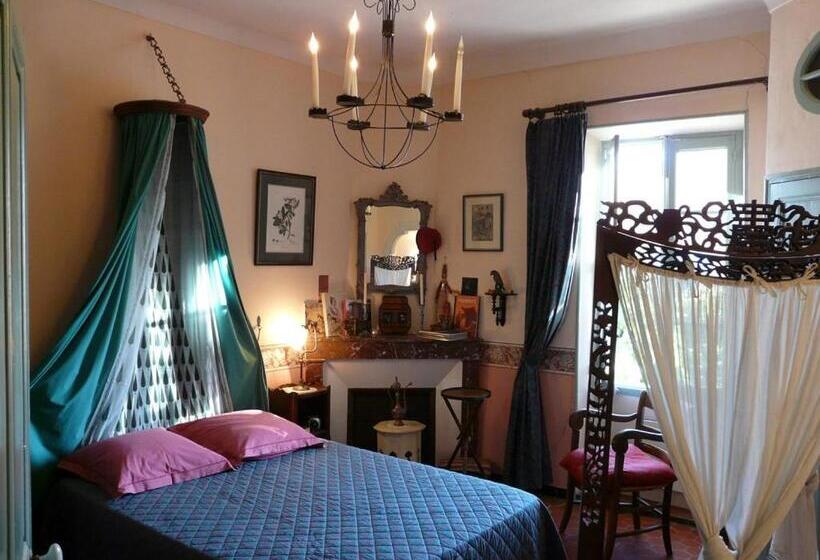 Camera Standard, Lou Amourie