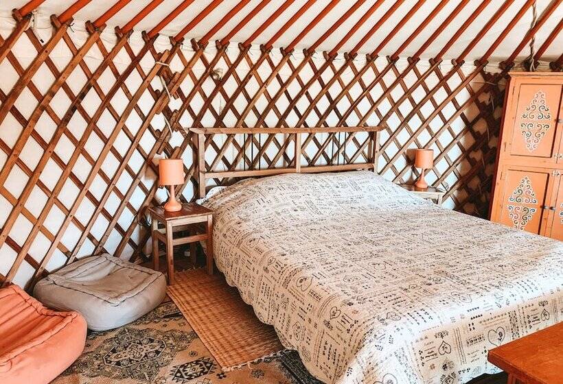 Номер Стандарт, Mas Escombelle