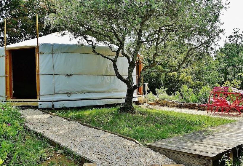 Номер Стандарт, Mas Escombelle