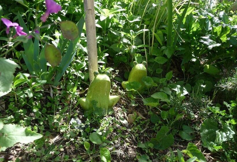 Номер Стандарт Внутренний, Mas Escombelle