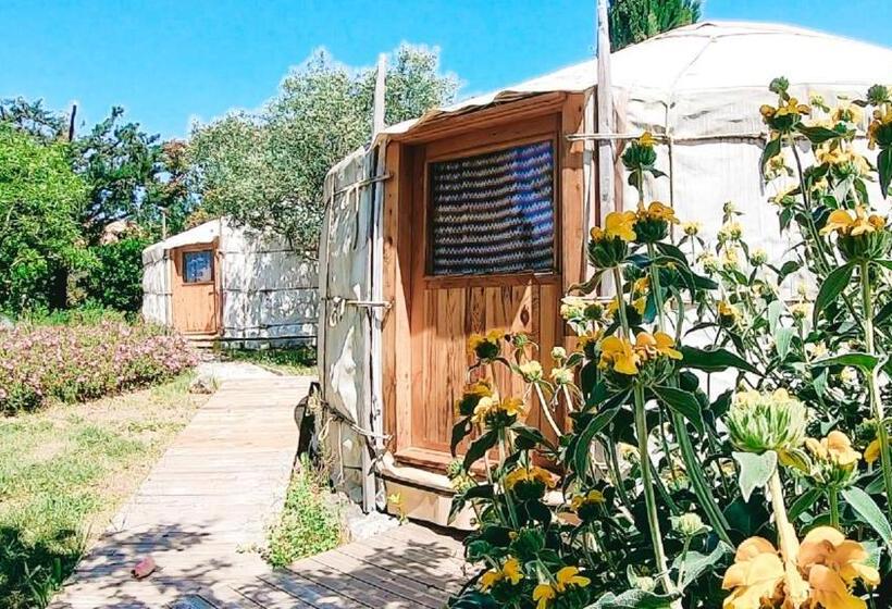 Standard Tent, Mas Escombelle