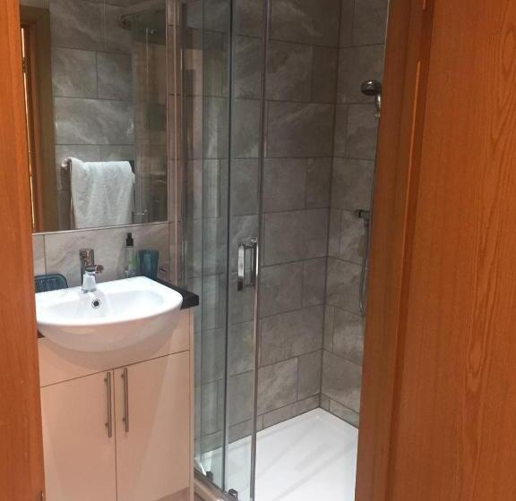 غرفة قياسية فردية, The Radnor Arms