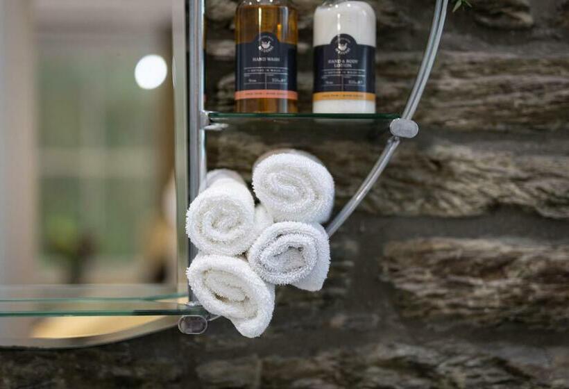 غرفة سوبيريور سرير كينج, Caemorgan Mansion