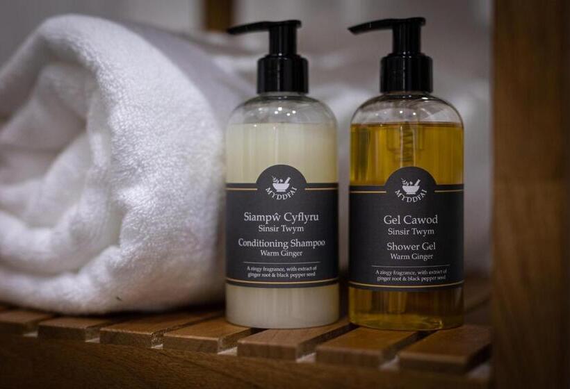 غرفة ديلوكس سرير كينج, Caemorgan Mansion