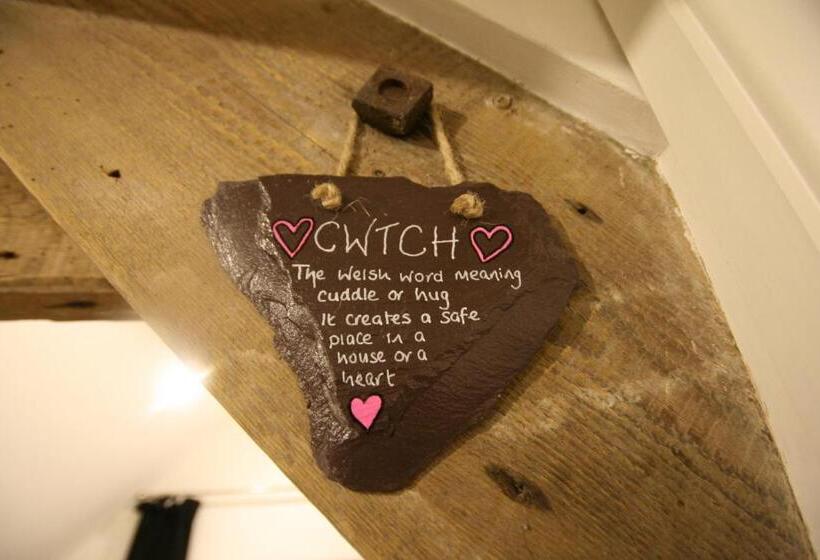 غرفة ديلوكس سرير كينج, Caemorgan Mansion