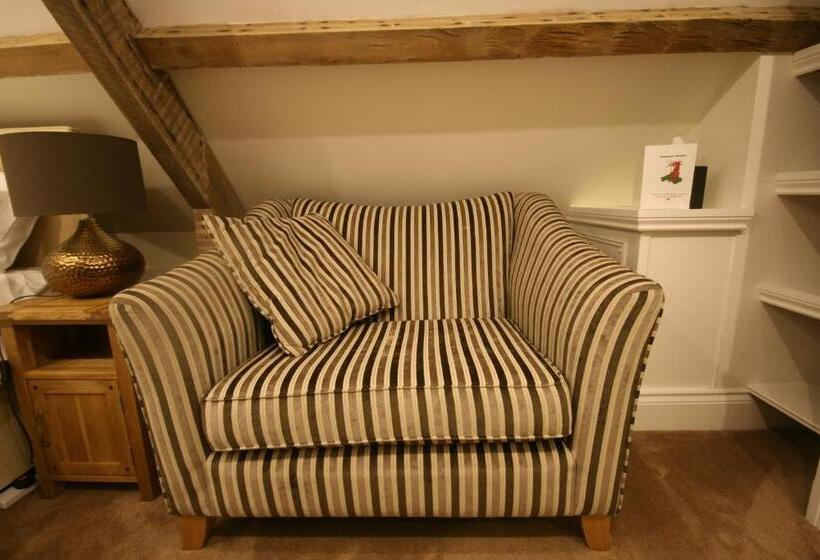 غرفة ديلوكس سرير كينج, Caemorgan Mansion