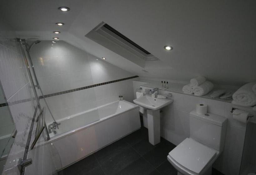 Номер Deluxe Кровать Кинг, Caemorgan Mansion
