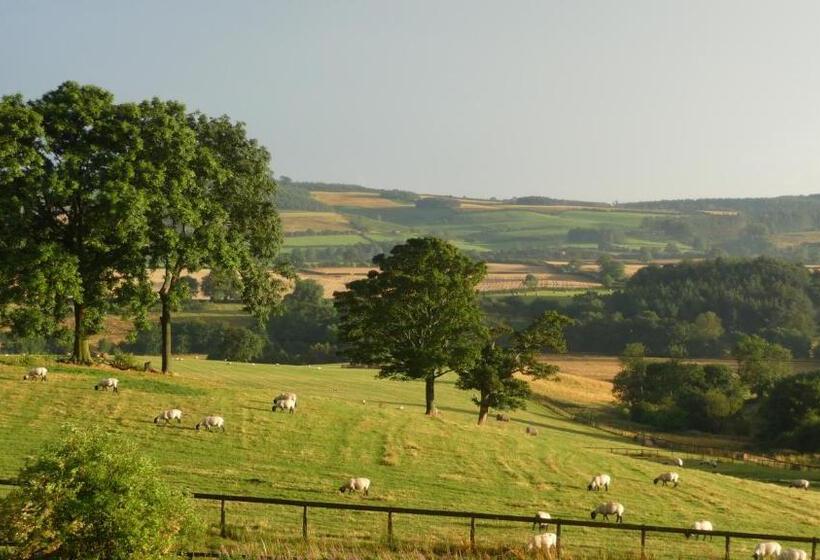 Номер Стандарт Вид на Сад, Shallowdale House