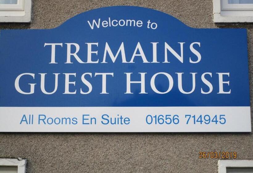 חדר סטנדרט מותאם לאדם עם מוגבלויות, Tremains Guest House