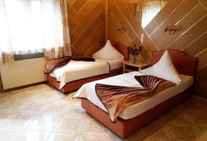 스탠다드 룸, Top Hotel Edingen