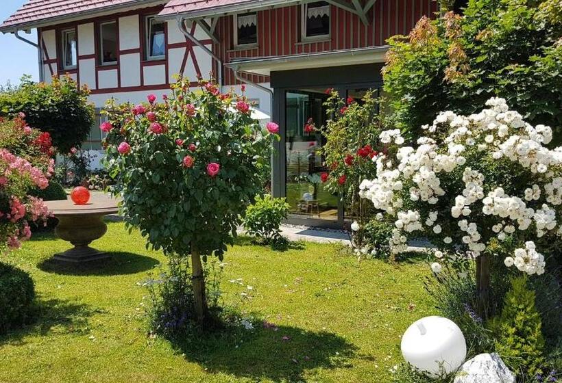 اتاق استاندارد با بالکن, Landgut Apfelrose