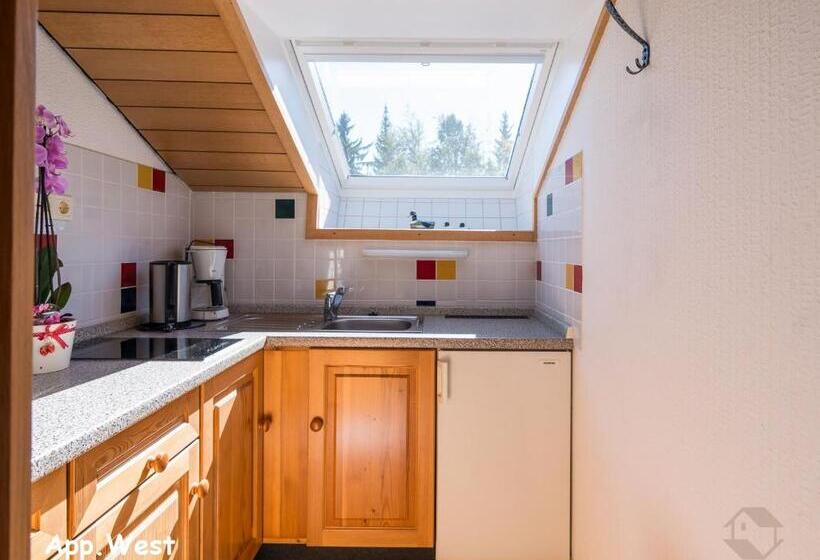 Апартаменты 1 Спальня с Балконом, Landhaus Gruden Sommerberg