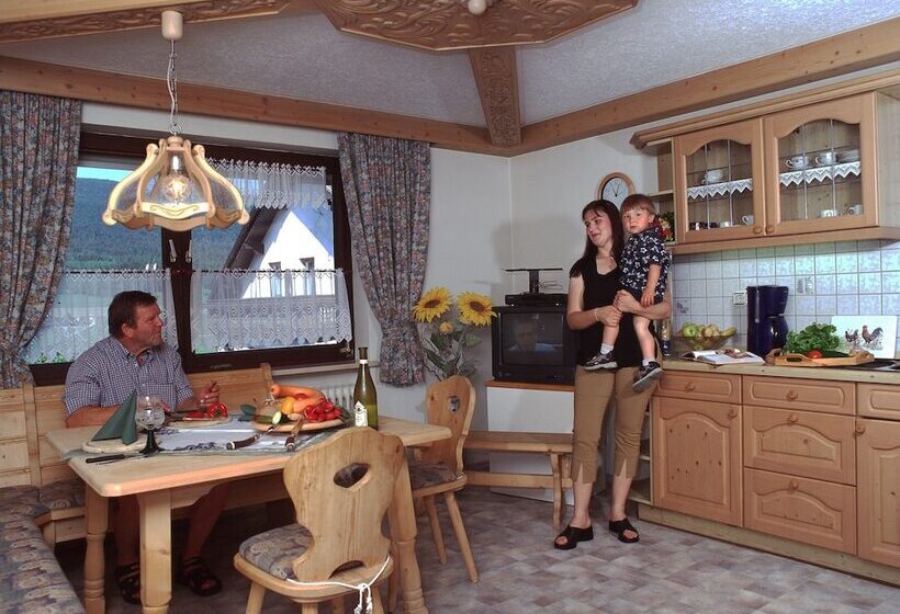 Апартаменты 1 Спальня, Pension / Ferienwohnungen Ludwig