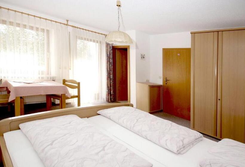 Номер Стандарт, Pension Schwaiger