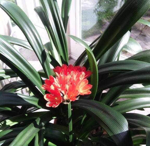 标准间, Pension Timeout