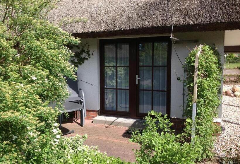 スタンダードスタジオ, Mare Balticum Urlaub Auf Rügen