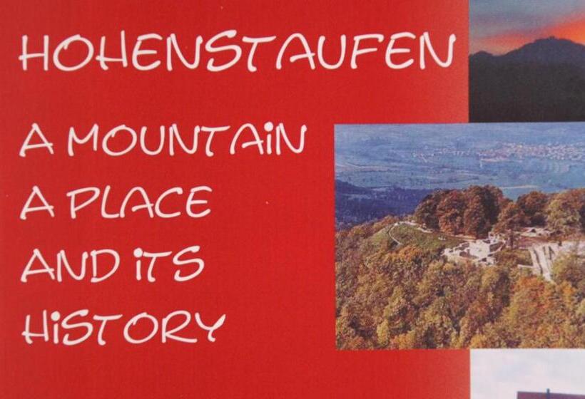 סטודיו סטנדרטי נוף לגינה, Studio 14/2