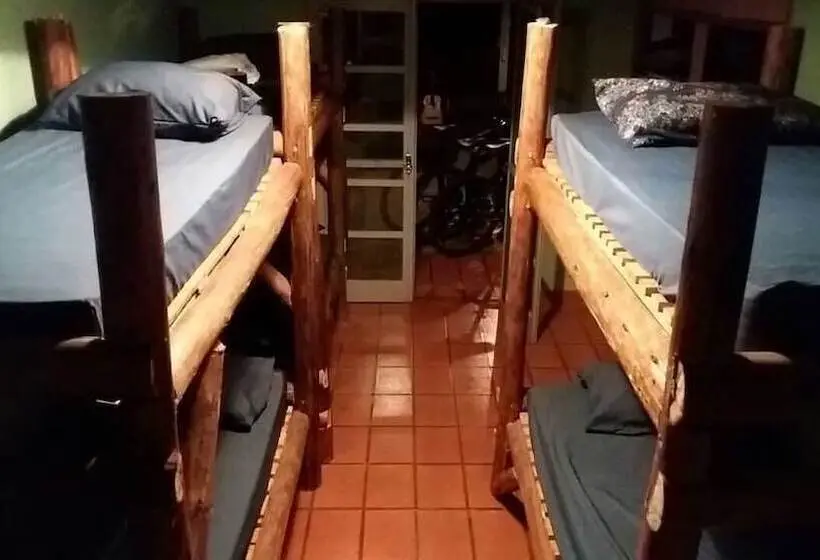 ルームシェアのワンベッド, Down The River Hostel