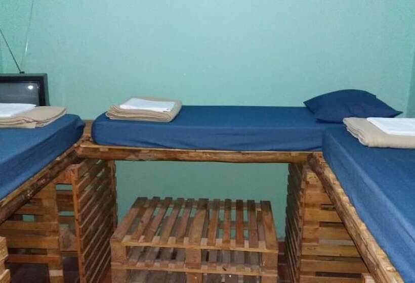 共用房间的床, Down The River Hostel