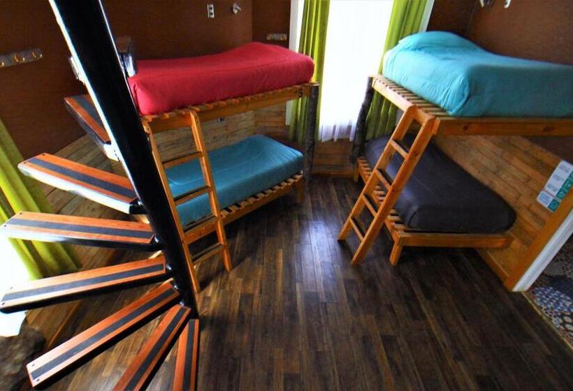 מיטה בחדר משותף, Corner Hostel Puerto Natales