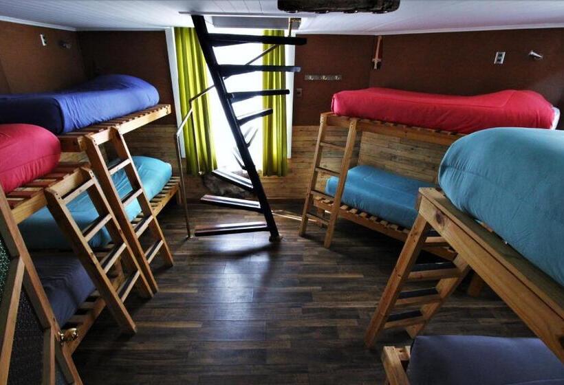 מיטה בחדר משותף, Corner Hostel Puerto Natales