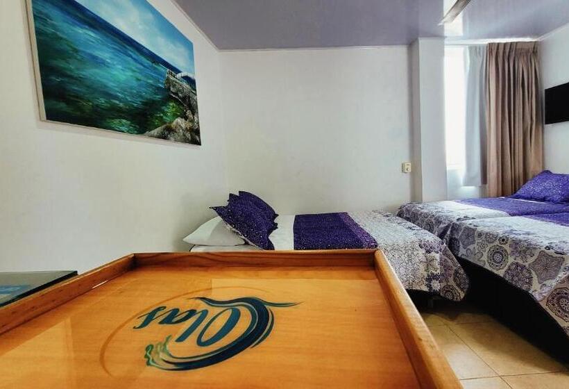 Standard Neljän Hengen Huone, Olas