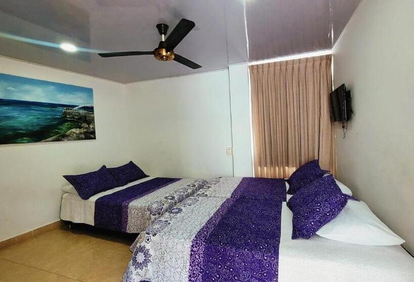 Standard Neljän Hengen Huone, Olas