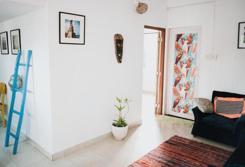 شقة غرفة واحدة, Wigwam