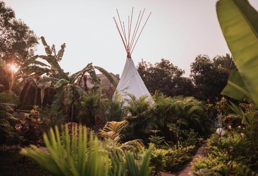 كوخ قياسي, Wigwam