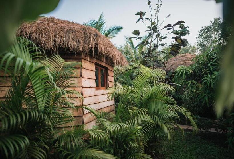 كابينة, Wigwam