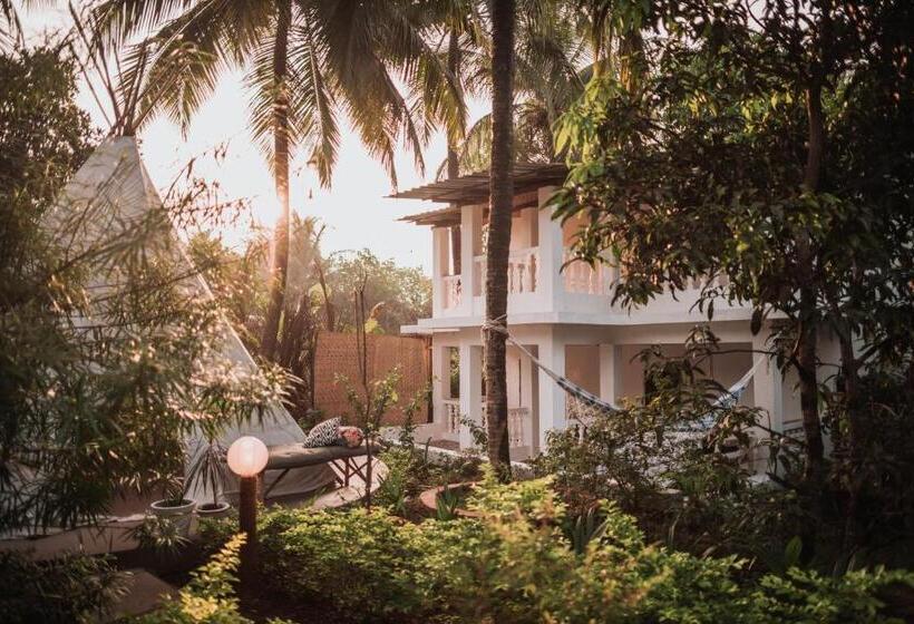 شقة دور أخير غرفة نوم واحدة, Wigwam