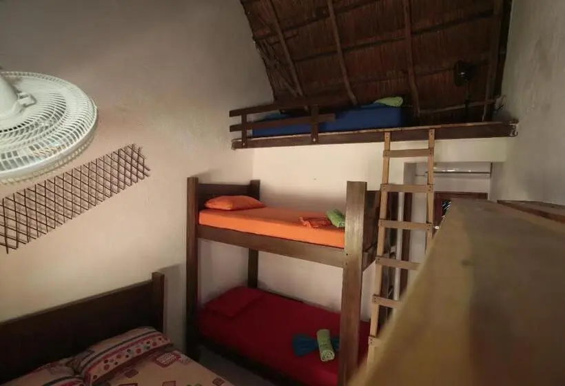 ファミリールーム, Hostal Nibuni Palomino