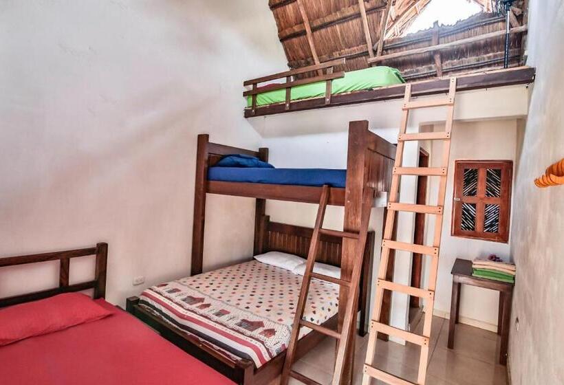 غرفة عائلية, Hostal Nibuni Palomino